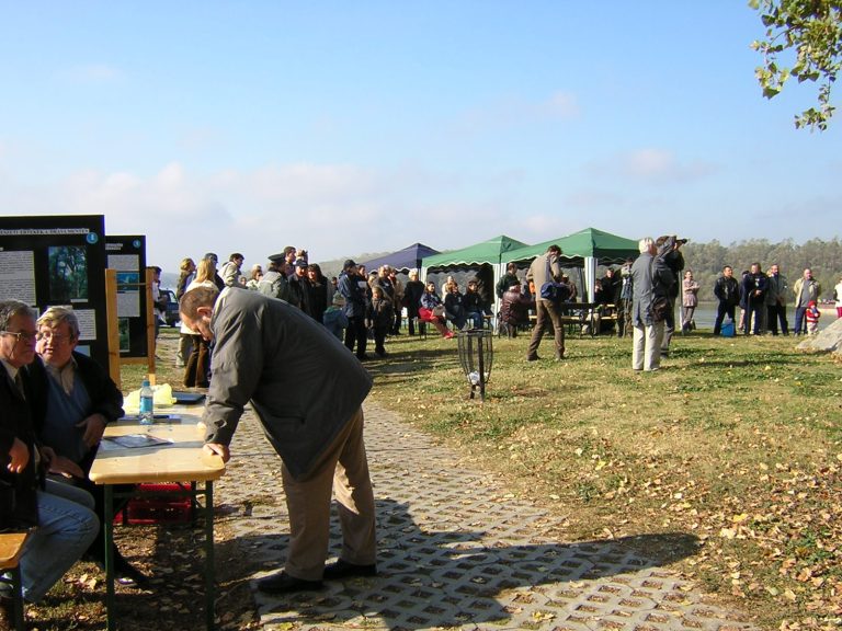 2003-1